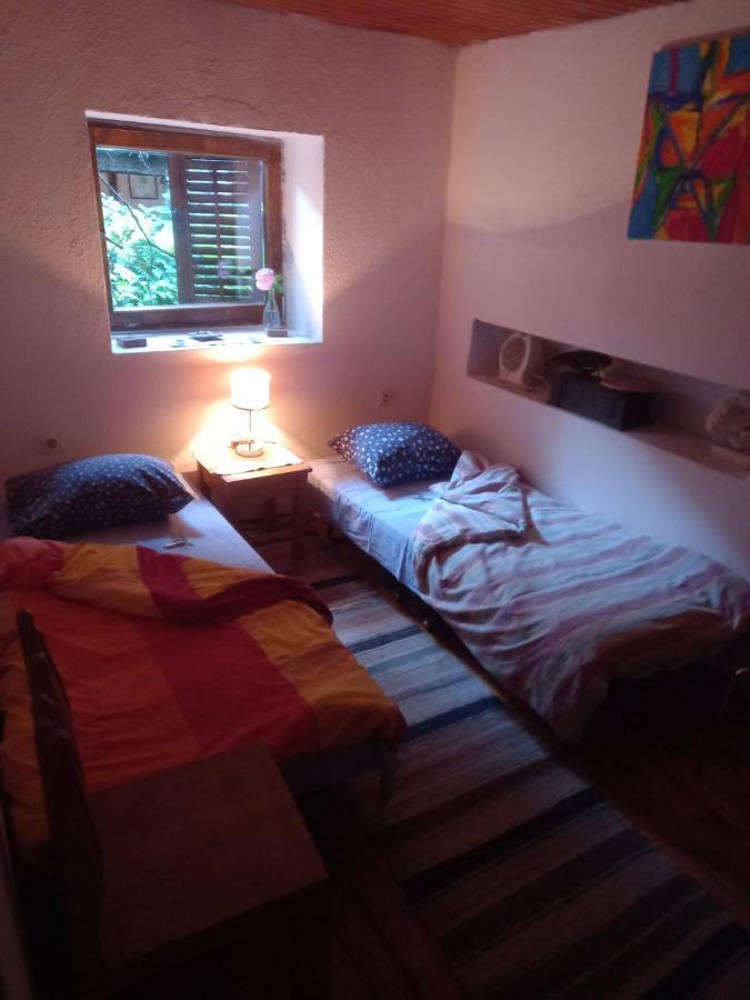 Hostel Musafir 科尼茨 外观 照片